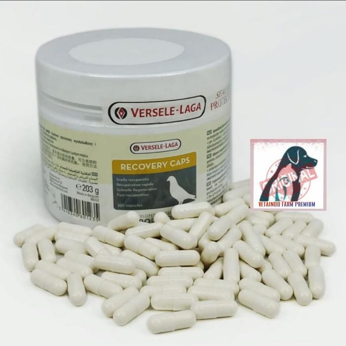 RECOVERY CAPS CAPSULE VERSELE LAGA PIL JAMU BURUNG MERPATI BALAP