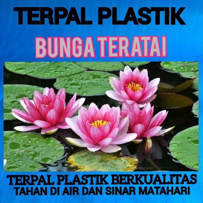 TERPAL PLASTIK TEBAL A12 2,5 METER X 4 METER