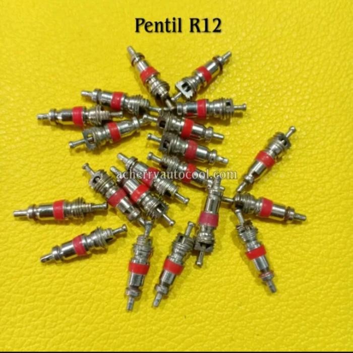 Pentil Freon AC Mobil R12