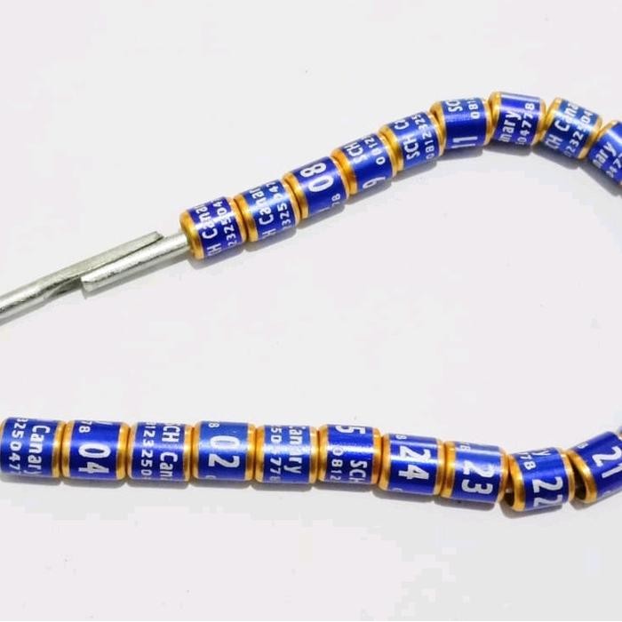 Chocolatoslatoe Ring Burung Kenari Pesan Nama Model Lis Emas Canary Ring