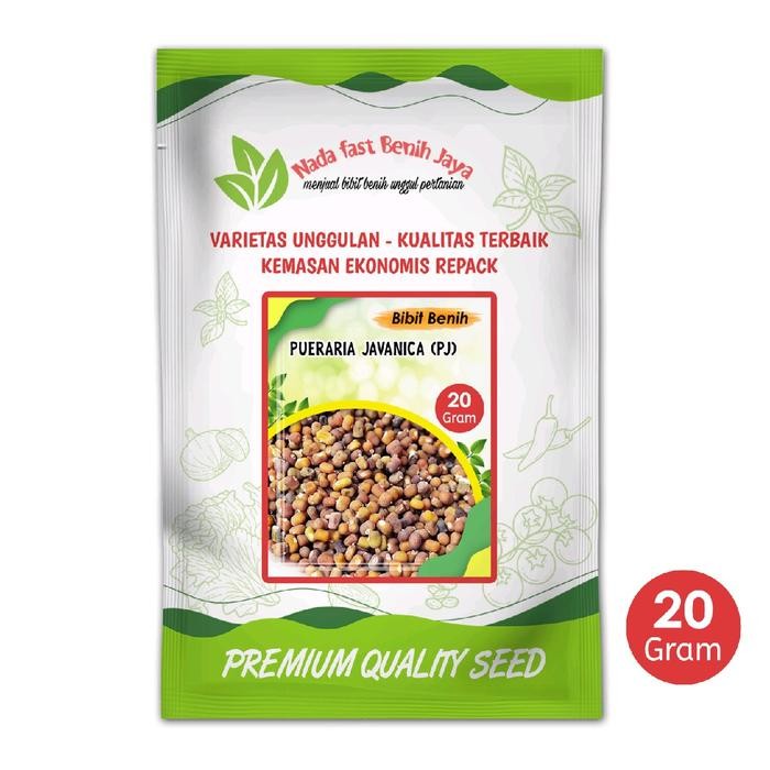 SIAPKIRIM Benih PJ Pueraria Javanika 20 gram / Biji kacang kacangan / Bibit Pueraria javanica READY