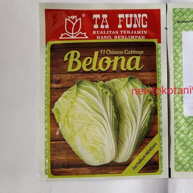 RJ Benih kubis sawi putih BELONA F1 10 gram chinese cabbage hibrida dari tafung belona