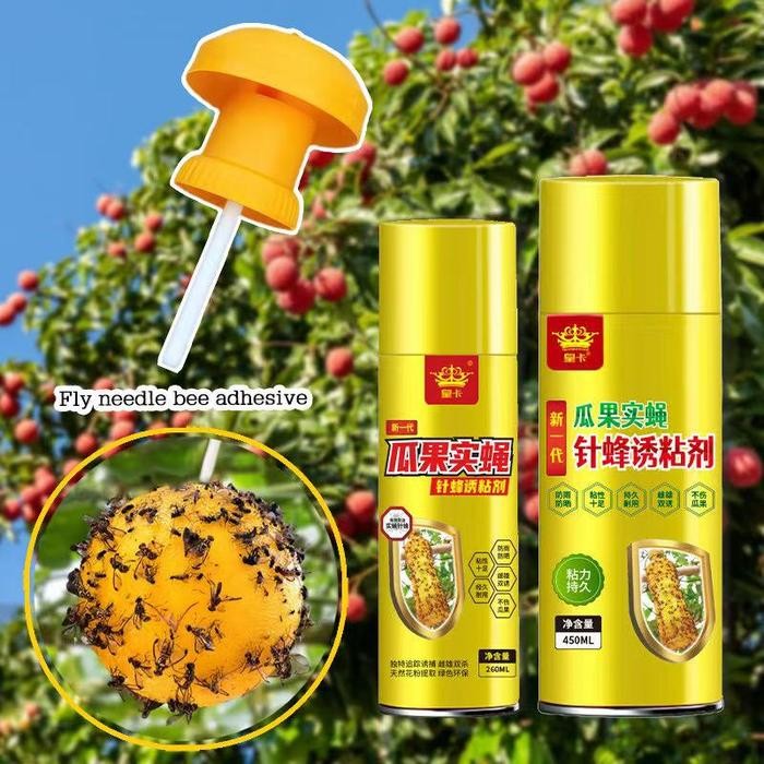 AMPUH Alat Perangkap Hama Lalat Buah Fruit Fly Trap Drosophila Pembunuh Insek Lalat Buah