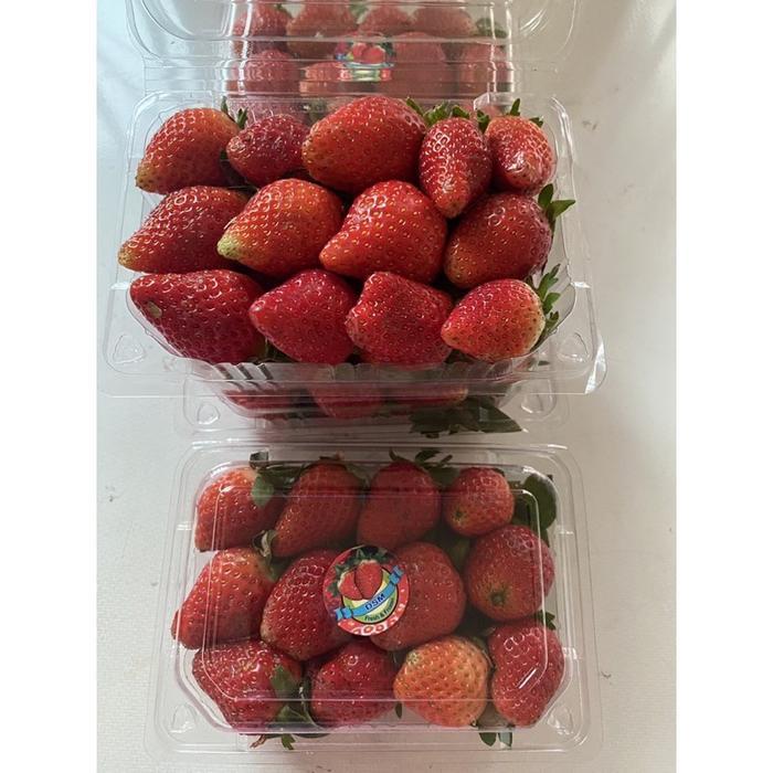 STRAWBERRY spesial pack strawberry Bandung