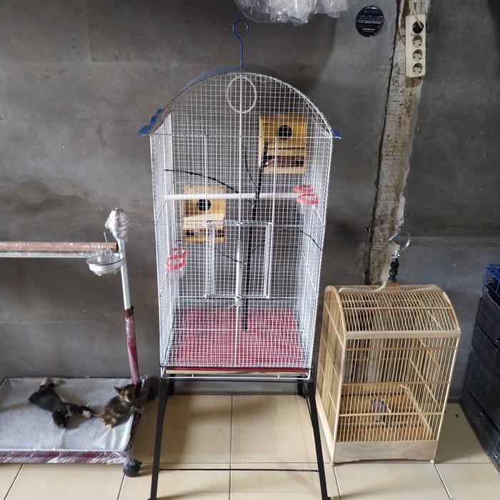 kandang ternak love bird kandang koloni