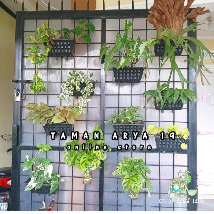 Pot tempel dinding vertical garden