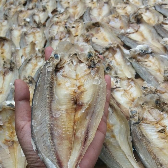 

Ikan Asin Tipis 500 Gram