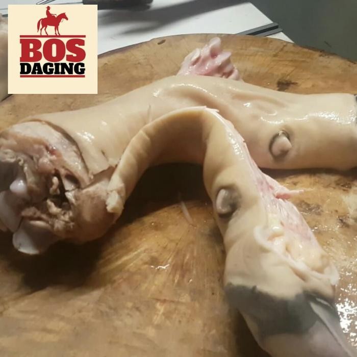 

Pilihan- Daging Kikil Kaki Sapi Lokal Utuh Untuk Sop Gulai Tunjang