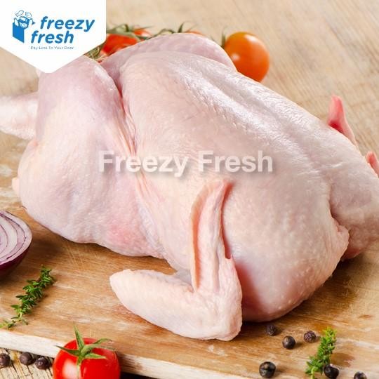 

Pilihan- Ayam Broiler Premium Per Ekor