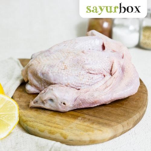

Pilihan- Ayam Kampung Probiotik 700 Gram Sayurbox