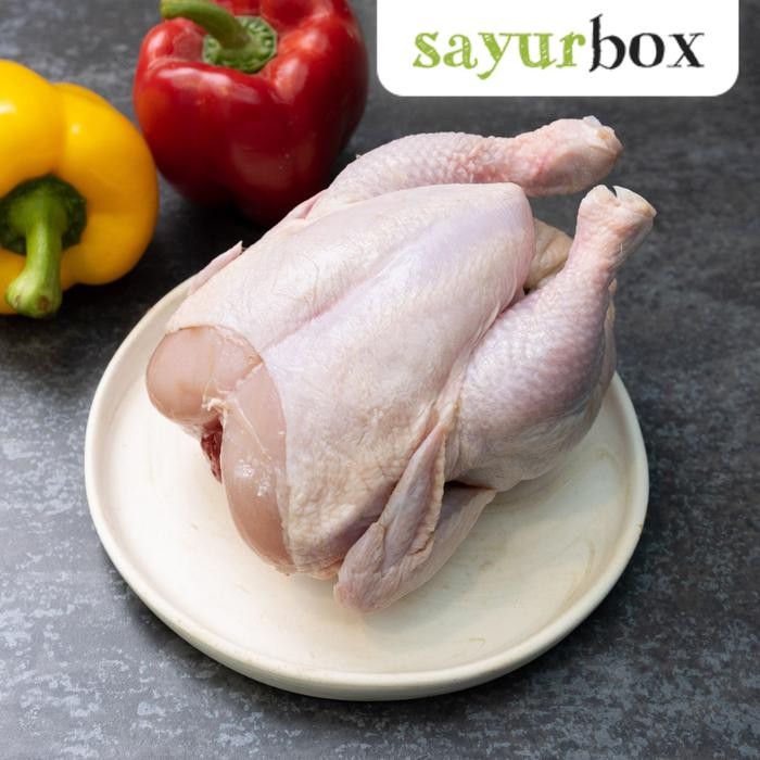 

Pilihan- Ayam Utuh 650 Gram Sayurbox