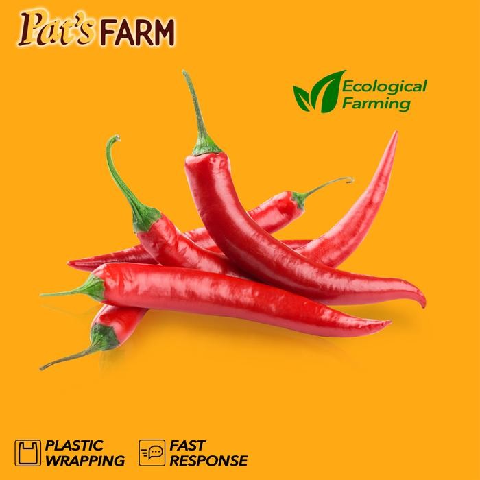 

Pilihan- Cabe Tw Merah / Cabe Merah Besar