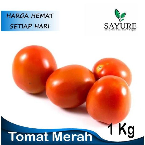 

Pilihan- Tomat Merah Segar Murah 1 Kg