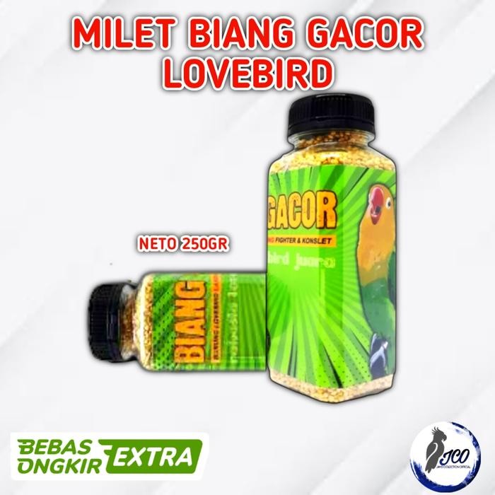 MILET GACOR BIANG GACOR MILET LOVEBIRD GACOR