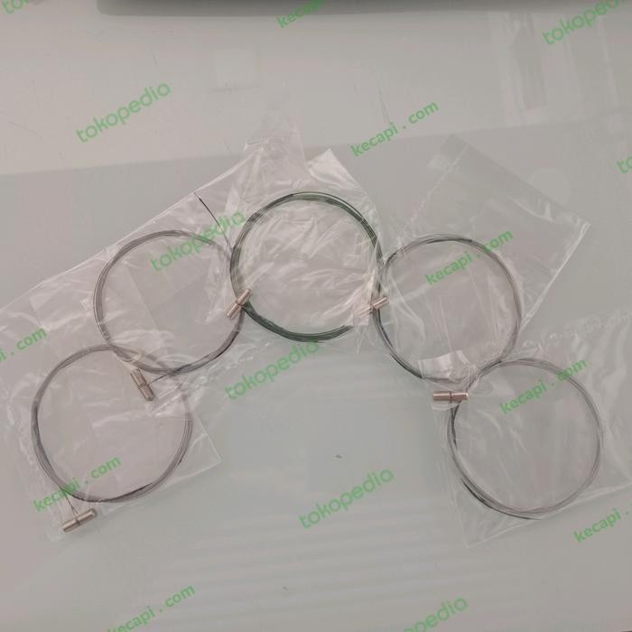 Senar Kecapi Guzheng Murah