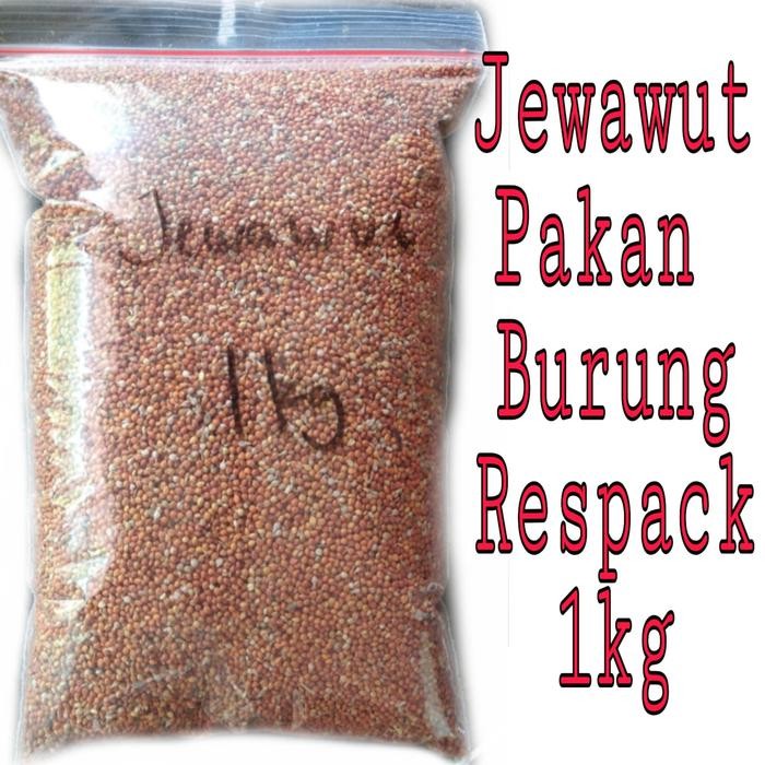 Jewawut Pakan Burung Harian Respack 1Kg Promo 