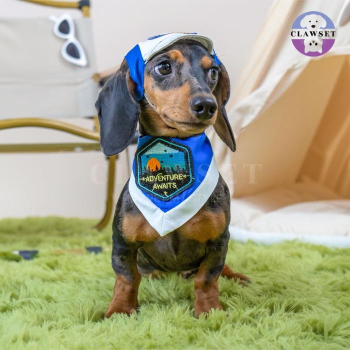 CLAWSET - PET HAT - SCOUT COLLECTION (TOPI HEWAN PELIHARAAN) - RESCUER NAVY