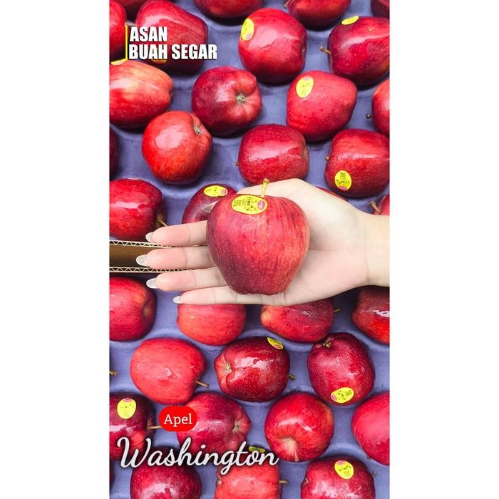 

TERLARIS buah apel merah rika Australia red cious Washington lengkeng READY STOCK