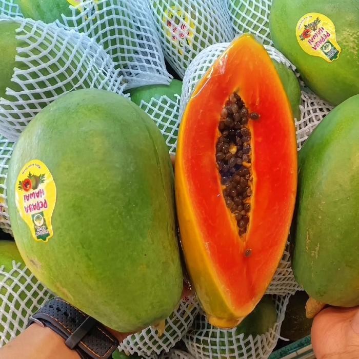 SegArRr- Buah Pepaya Hawai Pepaya Hawai Madu