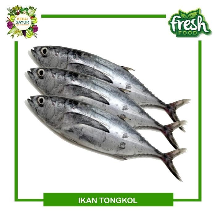 Eat77- Ikan Tongkol Segar 500 Gram- Ikan Laut Segar Depok