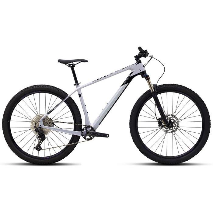 Sepeda Gunung MTB Carbon 27.5 / 29 Polygon Syncline C2 - S