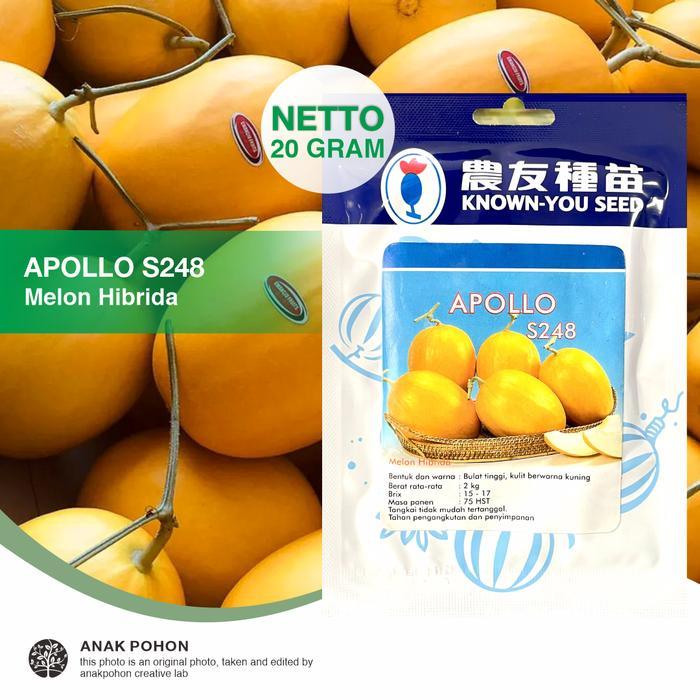 (1 PACK - 20 GRAM) Benih Melon Premium APOLLO Golden Hibrida Seeds Benih Biji