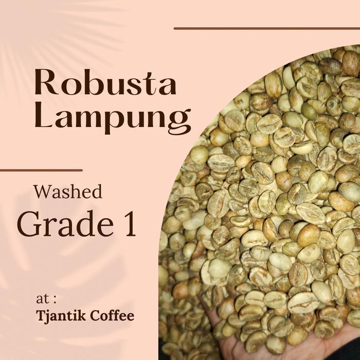 Green Bean Robusta Lampung Grade 1 Terbaru
