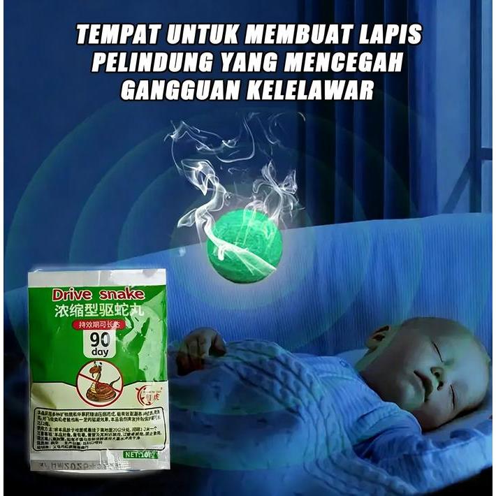 NEW!! Usir semua kelelawar dengan mudah. Pengusir kelelawar, penangkal kelelawar, obat kelelawar.