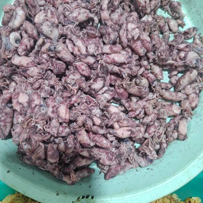 

ASLI Ikan Asi Cumi Asin Pilihan READY STOCK