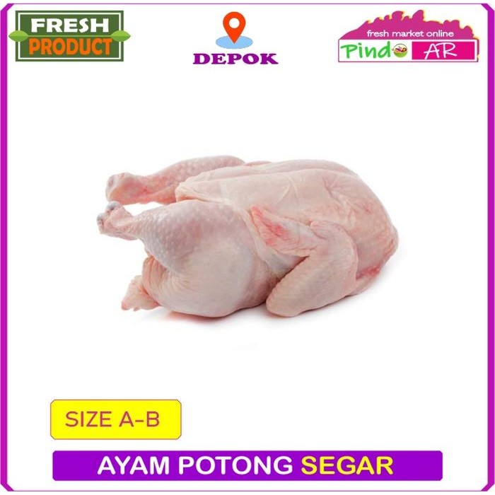 

Pilihan- Ayam Potong Segar / Ayam Broiler Bersih Dan Berkualitas 1 Ekor