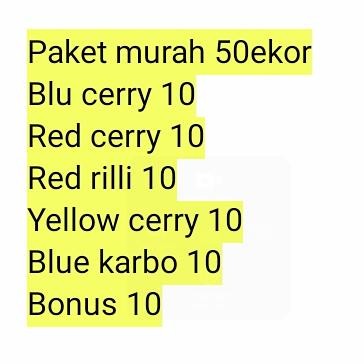 

Pilihan- Paket Isi 50