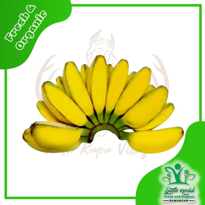 

Pilihan- Fresh Pisang Kepok - Sayur Kendal Sawangan