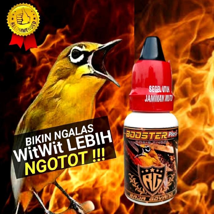 Phoenix Aviary - Booster Pleci Dosis Tinggi,Merangsang Pleci Cepat Buka Paruh