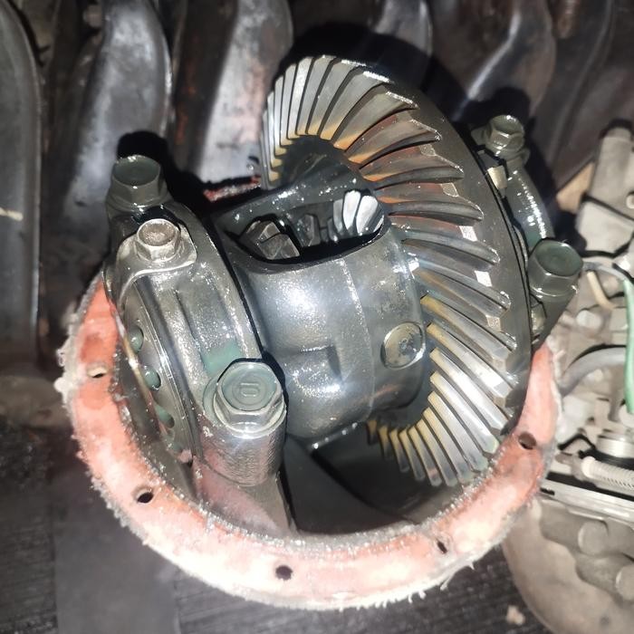 TONGKOL GARDAN KIJANG KAPSUL SUPER GRAND GIGI 10 x 41