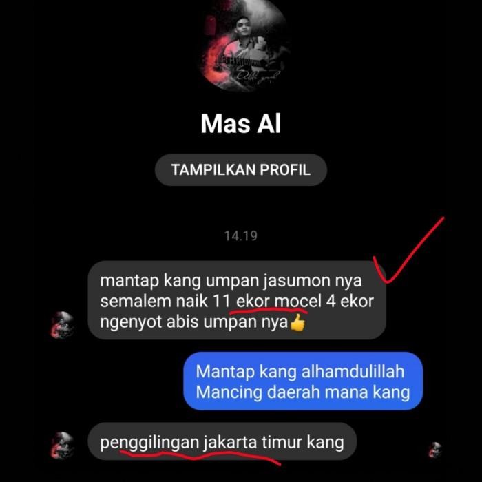 STOK TERBATAS  UMPAN IKAN MAS JASUMON SAMBA FISHING TERJANGKAU