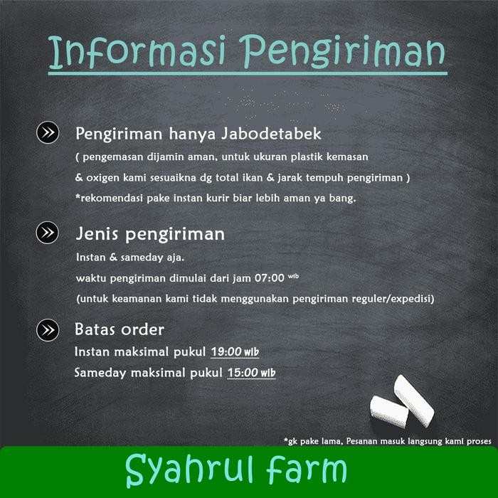 t00e- Sffb - Paket 50Ekor Ikan Terapi Kaki Nilem Lemon / Kuning Terdekat Bogor