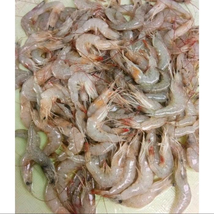 Instanbisa- Udang Peci Segar Ukuran Kecil 1Kg