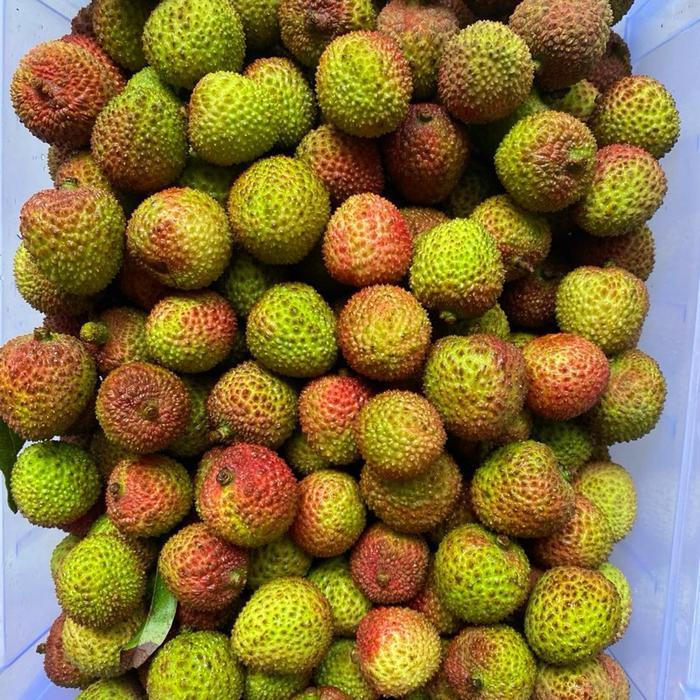 Buah leci / buah leci madu / lychee fresh