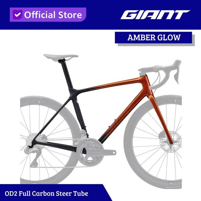 Diskon Giant Tcr Advanced Pro Disc Frameset