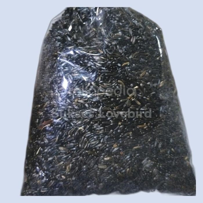 niger seed 250 gr pakan kenari siskin
