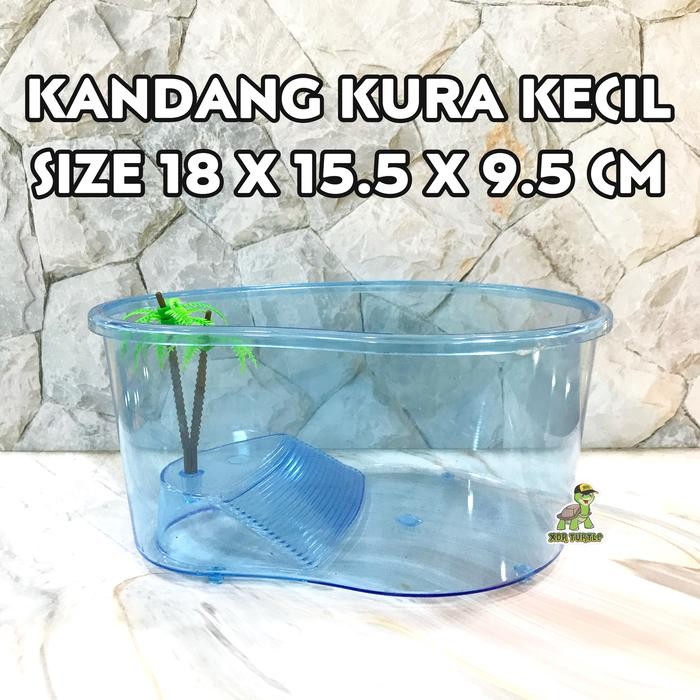 Pilihan- Promo Murah Kandang Kura Kecil Kura Air Res Brazil Picta Gecko Simple