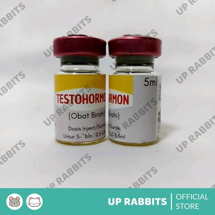 Pilihan- Testohormon Inject Hormon Tingkatkan Reproduksi Hewan Jantan