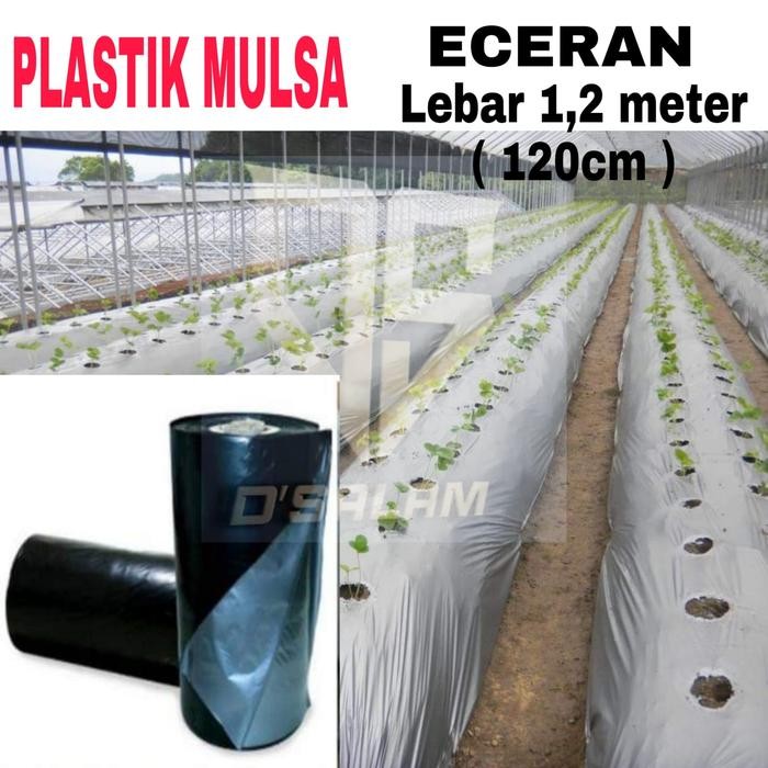 PLASTIK MULSA ( ECERAN ) HITAM PERAK