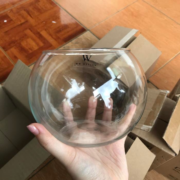 vas bunga bulat kaca bening 2 liter pot bunga kaca bulat lucu cylinder