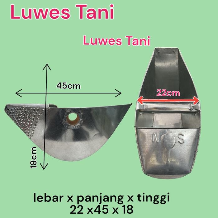 siraman bawang tanaman