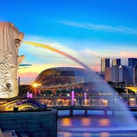 Tiket Pesawat Promo Terbatas