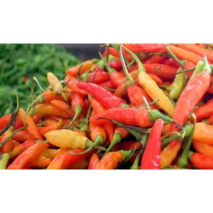 

Pilihan- Cabe Rawit Merah Segar Fresh Berkualitas - 250 Gram Jabodetabek