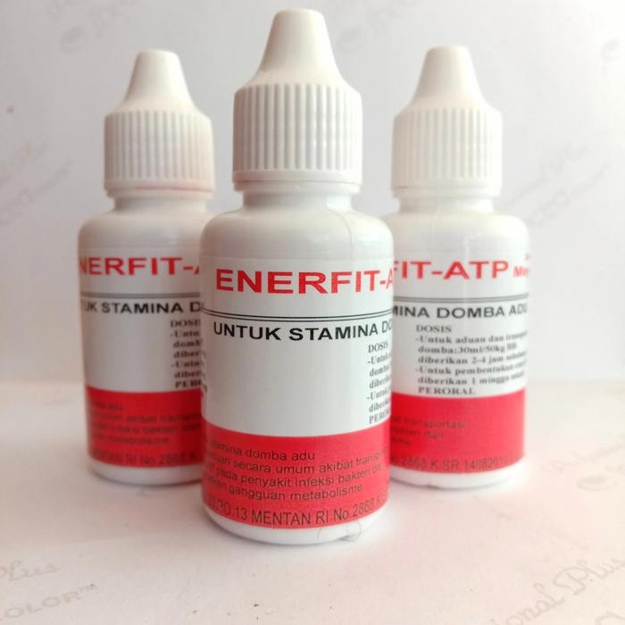 ENERFIT ATP (UNTUK STAMINA DOMBA ADUAN)@30ML