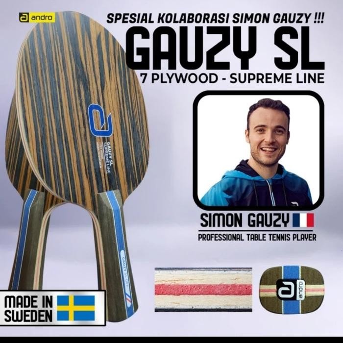 kayu bad pingpong "ANDRO GAUZY SL OFF"