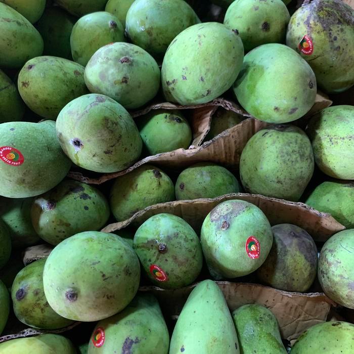 Buah Mangga harum manis / Buah mangga harum manis super